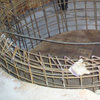 budowa jacuzzi